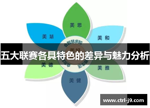 五大联赛各具特色的差异与魅力分析