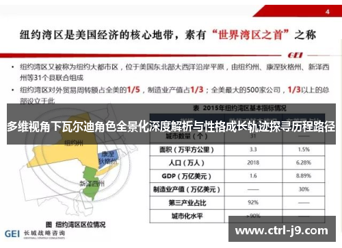 多维视角下瓦尔迪角色全景化深度解析与性格成长轨迹探寻历程路径
