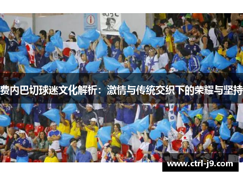 费内巴切球迷文化解析：激情与传统交织下的荣耀与坚持