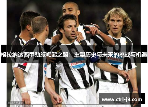 格拉纳达西甲劲旅崛起之路：重塑历史与未来的挑战与机遇