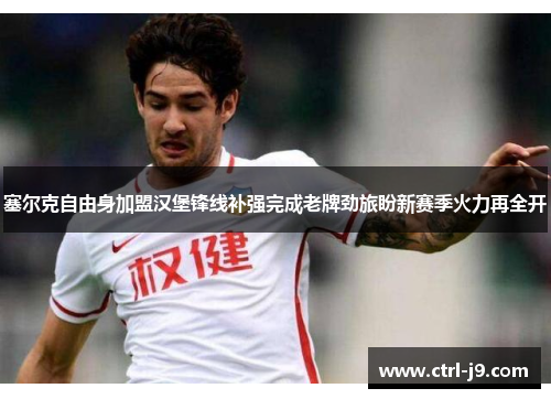 塞尔克自由身加盟汉堡锋线补强完成老牌劲旅盼新赛季火力再全开